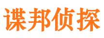 大观商务调查